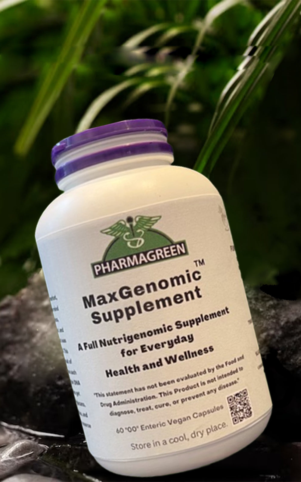 Maximize Your Health With The Best Mushroom Supplement Brand - Max Genomic Products