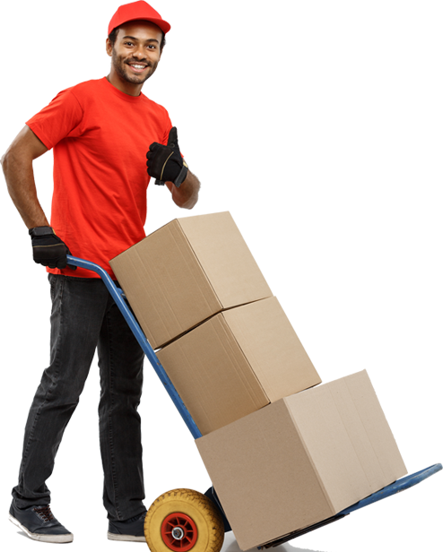 Finding Expert Packers And Movers Near Me For A Stress-Free Move
