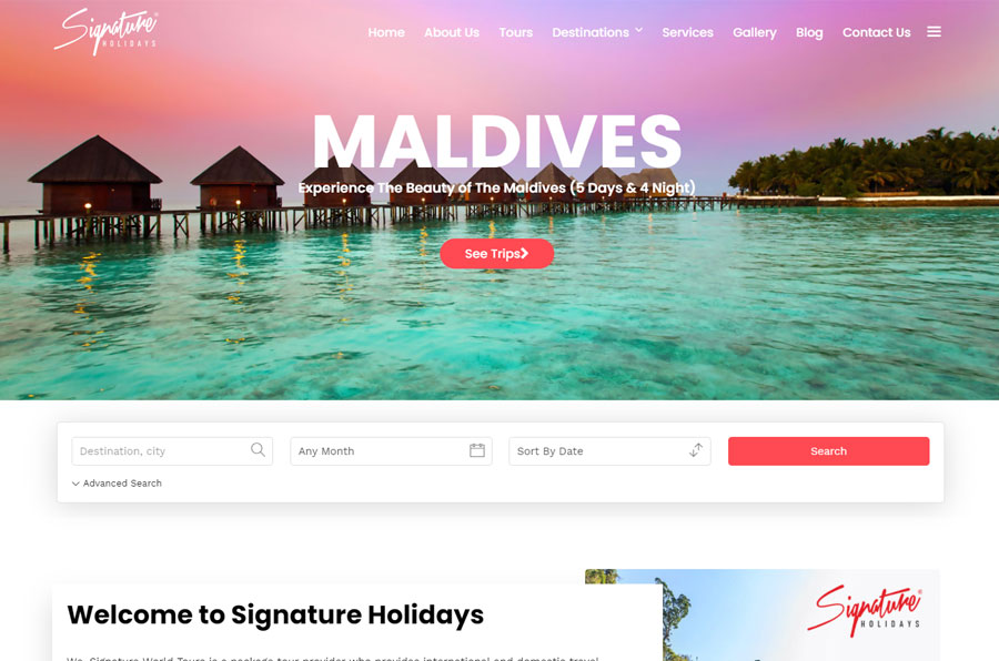 Select The Best Travel Website Design Company For Your Business